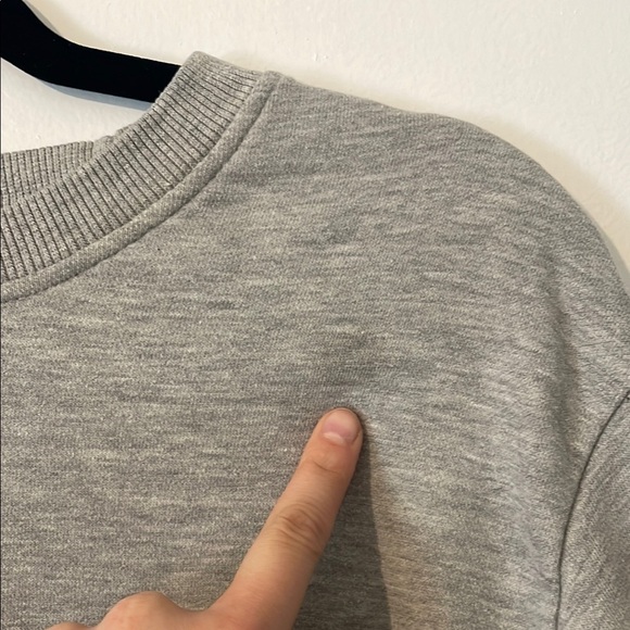 Champion Gray Sweatshirt - Picture 3 of 8